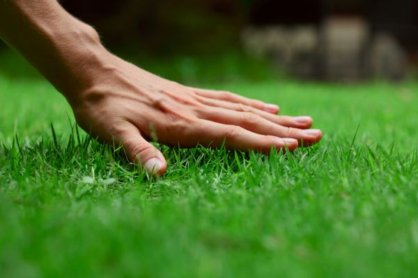 Traverse City Lawn Treatment