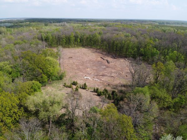 Traverse City Land Clearing